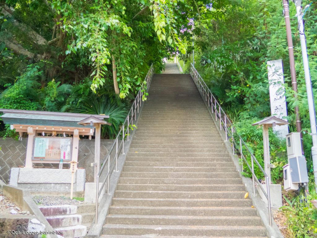 大神山神社（階段）へようこそ！